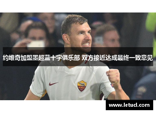 约维奇加盟墨超蓝十字俱乐部 双方接近达成最终一致意见