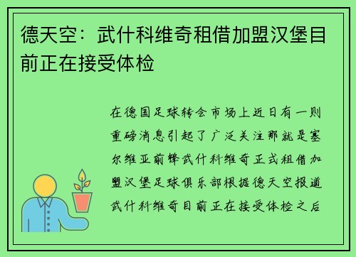 德天空：武什科维奇租借加盟汉堡目前正在接受体检
